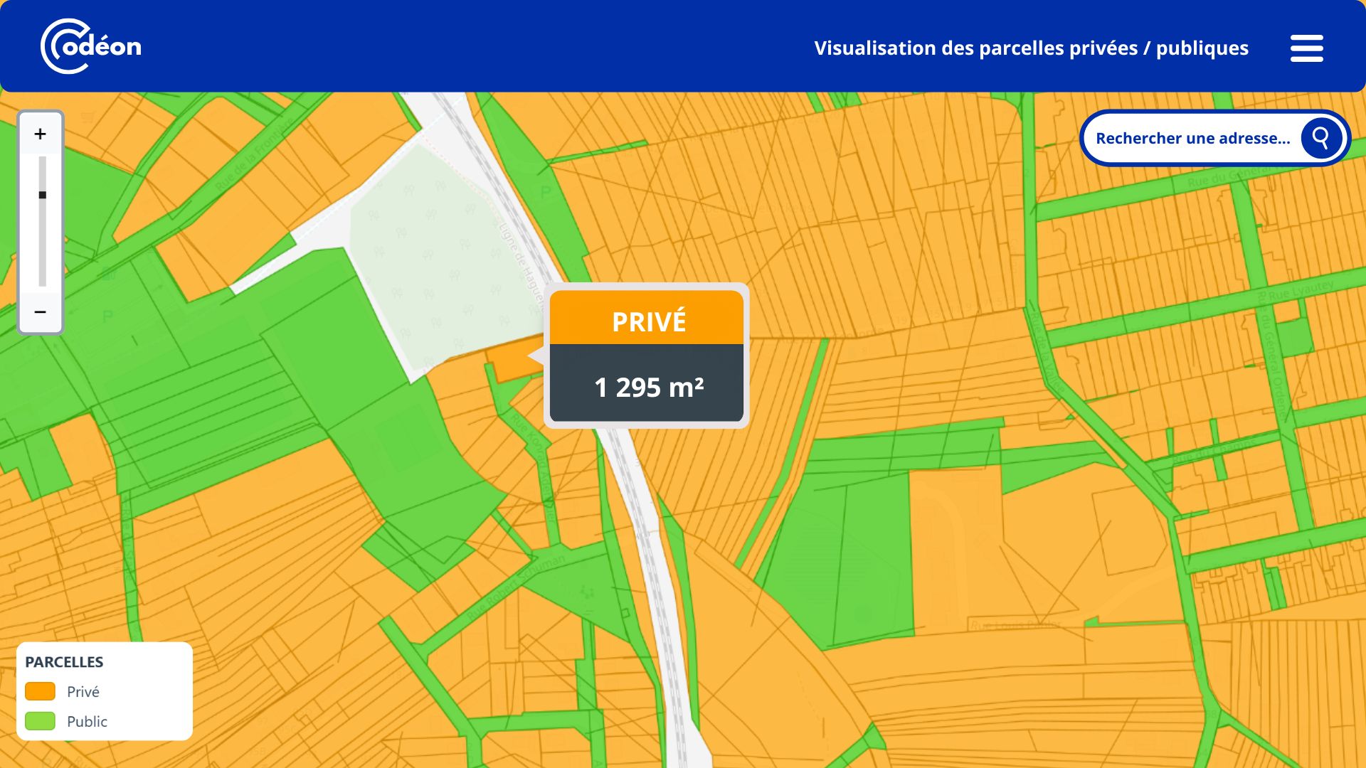 Vue générale de la cartographie interactive des parcelles cadastrales